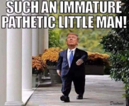 1747954536562.png