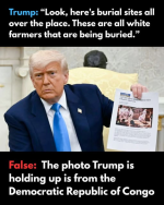1748202027785.png