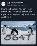 1748202598938.png
