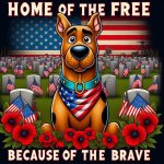 FB_IMG_1748182476319.jpg