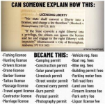 1748461866392.png