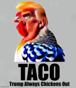 1748562106251.png