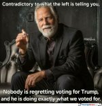 contractictory.jpg