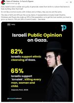 Israeli public opinion..JPG