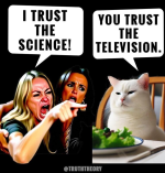 1748785464471.png