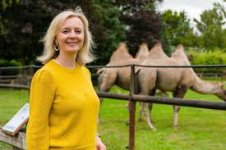Truss with camels.jpg