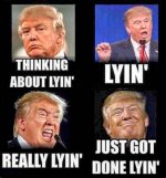 trumplyin.jpg