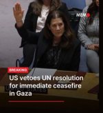 veto.JPG
