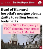 1749131466724.png