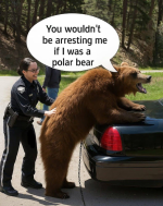 1749215030369.png