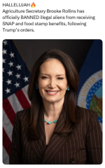 1749651196361.png