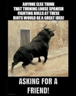 1749739415239.png
