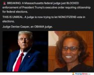 judges.jpg
