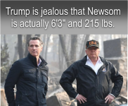 1750024702433.png