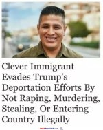 clever-boy.jpg