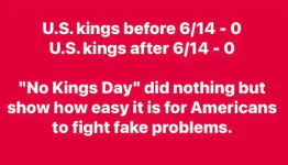 1750421495653.png