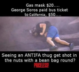1750442095407.png