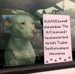 1750676596550.png