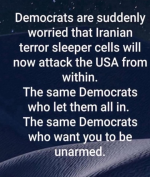 1750767830731.png