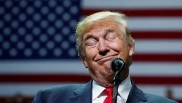 Создать мем трамп, сша трамп, дональд трамп довольный - Картинки ...