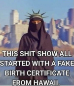 1751023981866.png