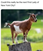 1751375228182.png