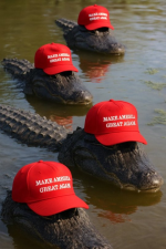 1751555372580.png