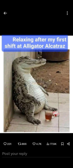 1751667680970.png
