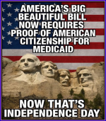 1751977356497.png