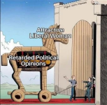 1751978271603.png