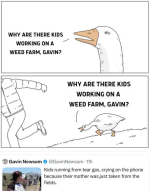 1752495362915.png