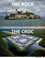 rock-and-croc.jpg