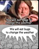1752585228315.png