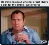 1753012868370.png