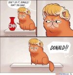 not-that-one-donald.jpg