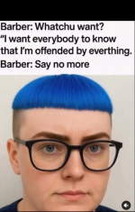 1753626153437.png