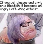 1753626267866.png