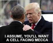 1753800492621.png