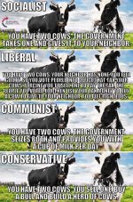 dcbd7638b2c1ac3cf65d39f2db1b37e2.jpg