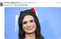 1753966355861.png