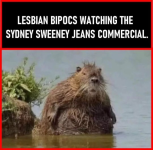1754063872831.png