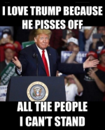 1754064192481.png