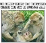 1754241148141.png
