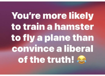 1754915147465.png