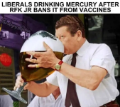 1754932431490.png