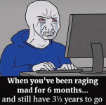 1755173258443.png