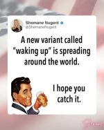 1755173650063.png