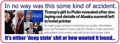 1755449809503.png
