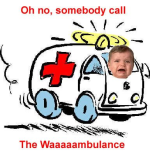 1755562192942.png