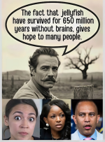1755602359759.png